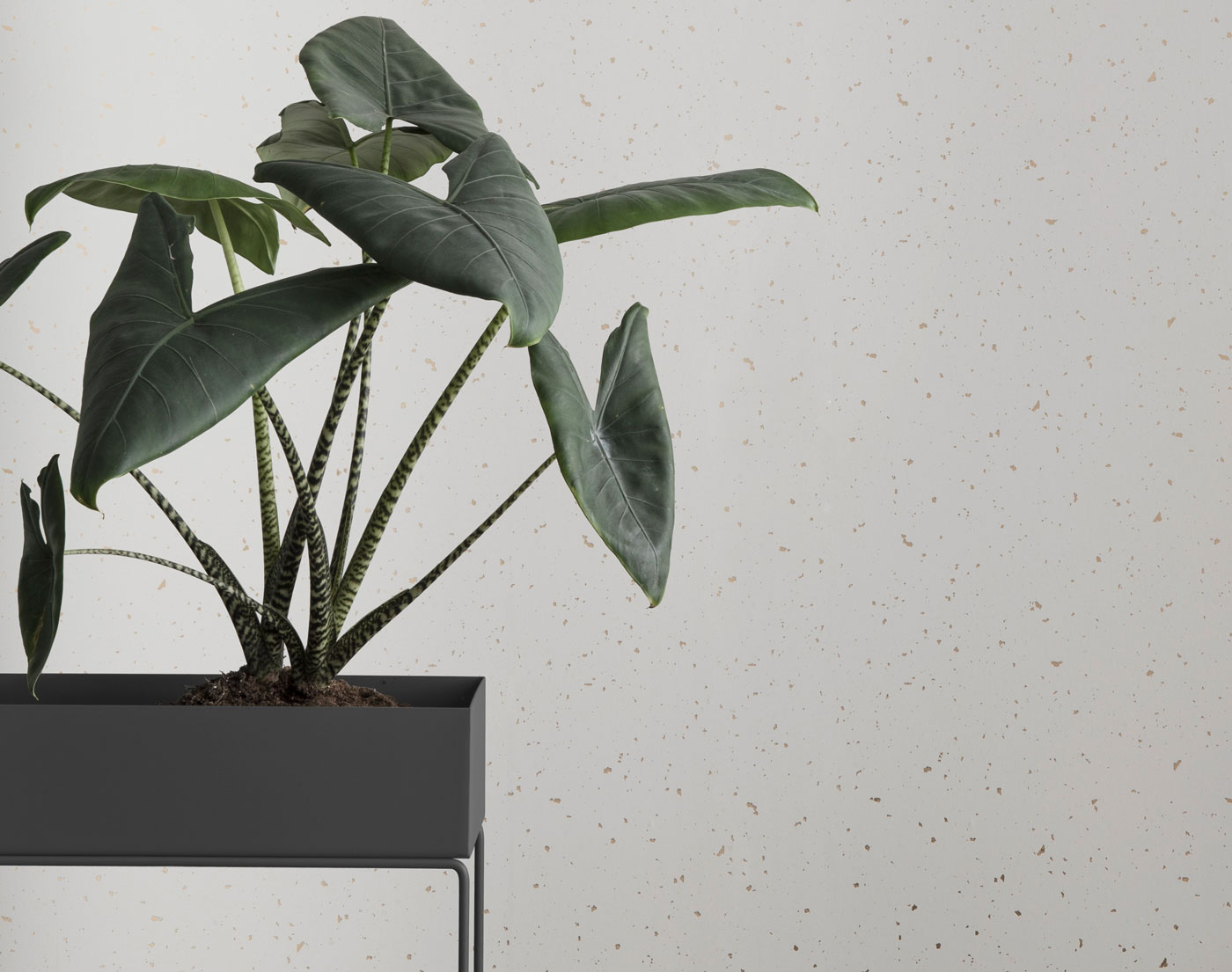 Plant Box od ferm living