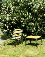 Stolík Vig Robinia 55 x 45 cm, dark green