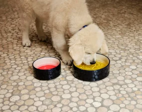 Miska pre psov Dogs Bowl S, red/blue