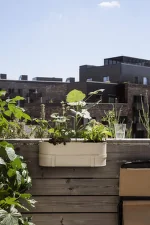 Hrantík Bau Balcony Box, cashmere