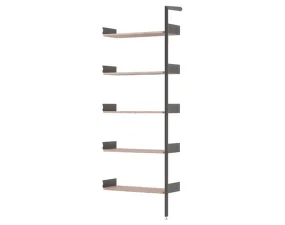 Policová zostava Rombe IF4, anthracite/lacquered walnut