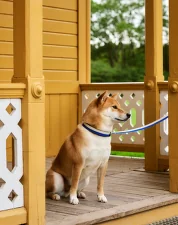 Vodítko Dogs Leash Flat M/L, off-white/blue