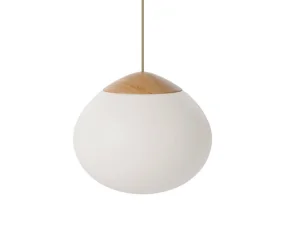 Závesná lampa Acorn Ø32, matt opal glass