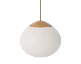 Závesná lampa Acorn Ø41, matt opal glass