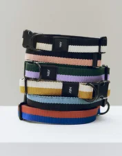 Obojok pre psa Dogs Collar Flat M/L, blue/black