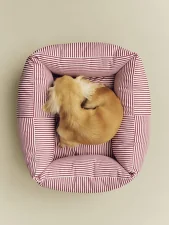 Pelech pre psa Dogs Bed XS, red and white stripe