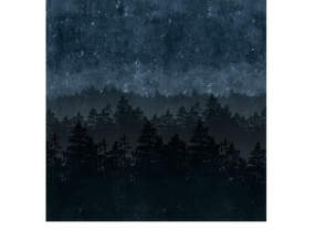 Tapeta Nordic Night 8845