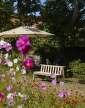 Cadence Bench, teak