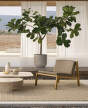 Záhradne kreslo Patio, untreated solid teak