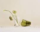 Aalto Vase 220 mm, moss green