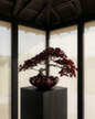 Misa Bloom Tray Big, maroon