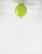 Memory Ceiling PC877 Lamp, green apple