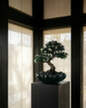 Misa Bloom Tray Big, dark green