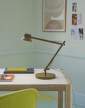 lampa-Dedicate Table Lamp S2, brown green
