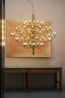 Luster 2097/75 Frosted Bulbs, brass