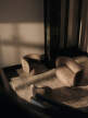 Sofa Rico 2 Cilla, taupe