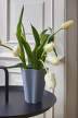 Iris Vase S, off-white