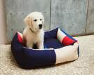 pelech-HAY Dogs Bed M, red/blue