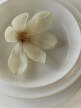 Taniere Edge, ecru stoneware