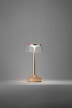 Prenosná lampa Bon Jour Unplugged, copper/transparent