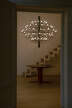 Luster 2097/75 Frosted Bulbs, matte black