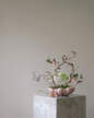 Misa Bloom Tray Medio, rose