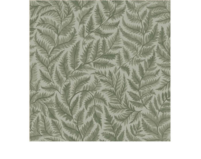 Tapeta Ferns 7792