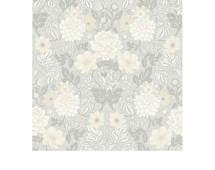 Dahlia-Garden-7664