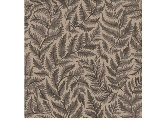 Tapeta Ferns 7793