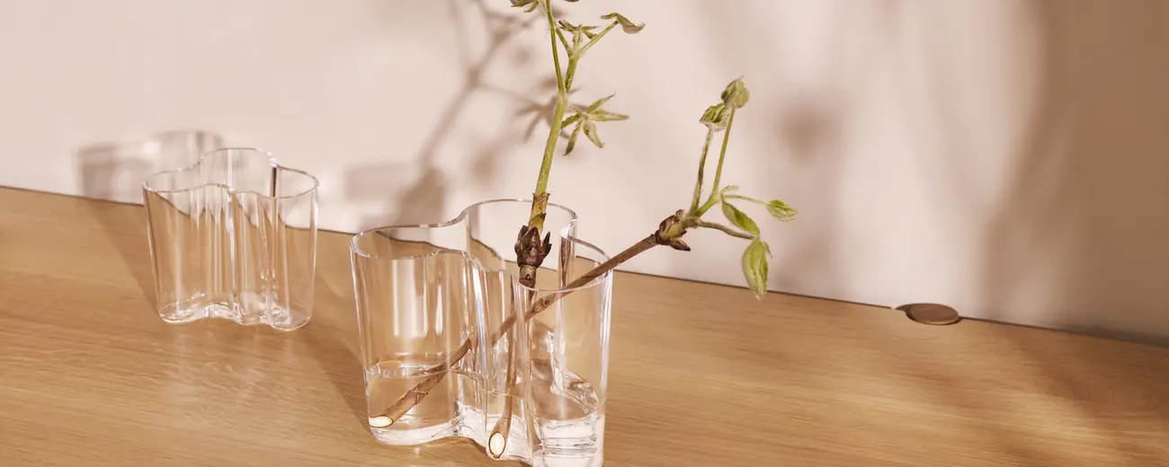 Vázy Aalto od Iittala