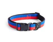 Obojok pre psa Dogs Collar Flat M/L, red/blue