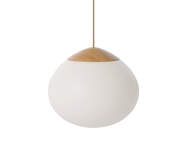 Závesná lampa Acorn Ø32, matt opal glass