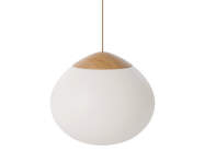 Závesná lampa Acorn Ø41, matt opal glass