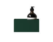 Kúpeľňová polička Bath Shelf 20, green