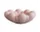 Misa Bloom Tray Big, rose
