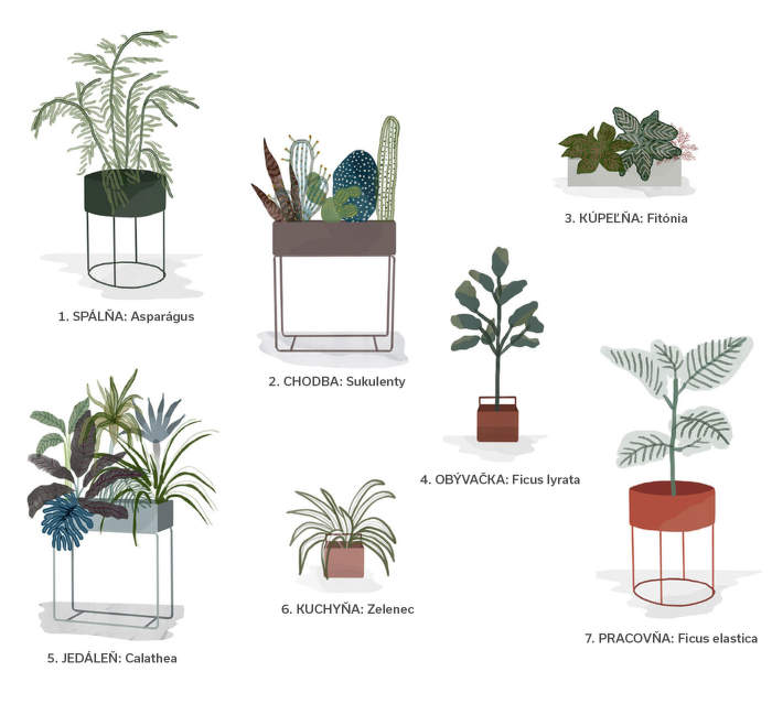 PlantGuidesk_blog